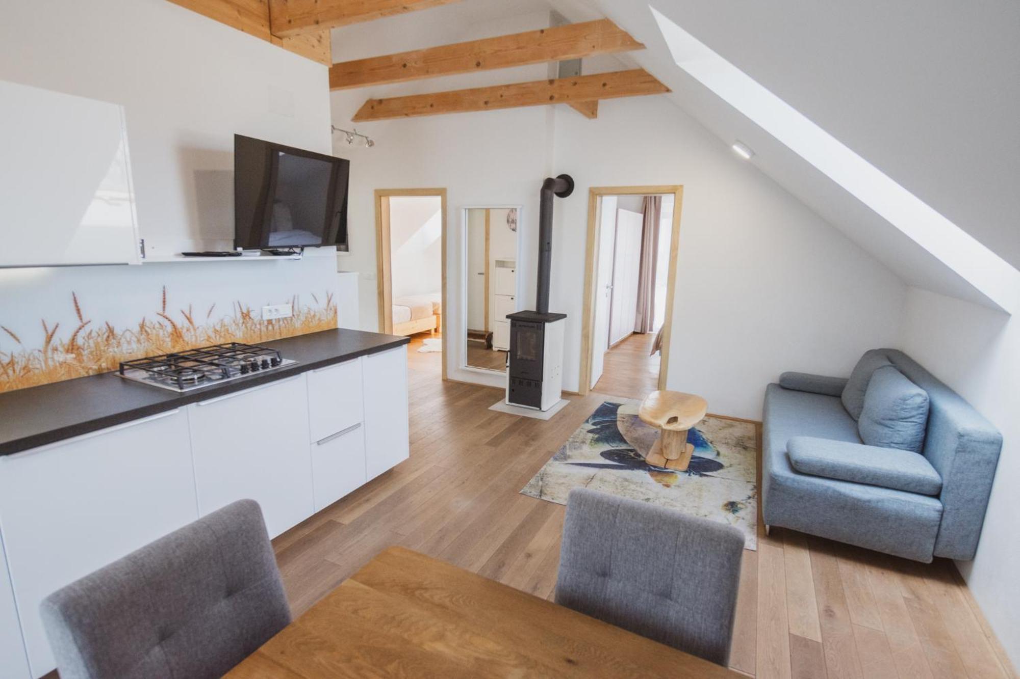 PR`FIK Apartments Kranj Værelse billede