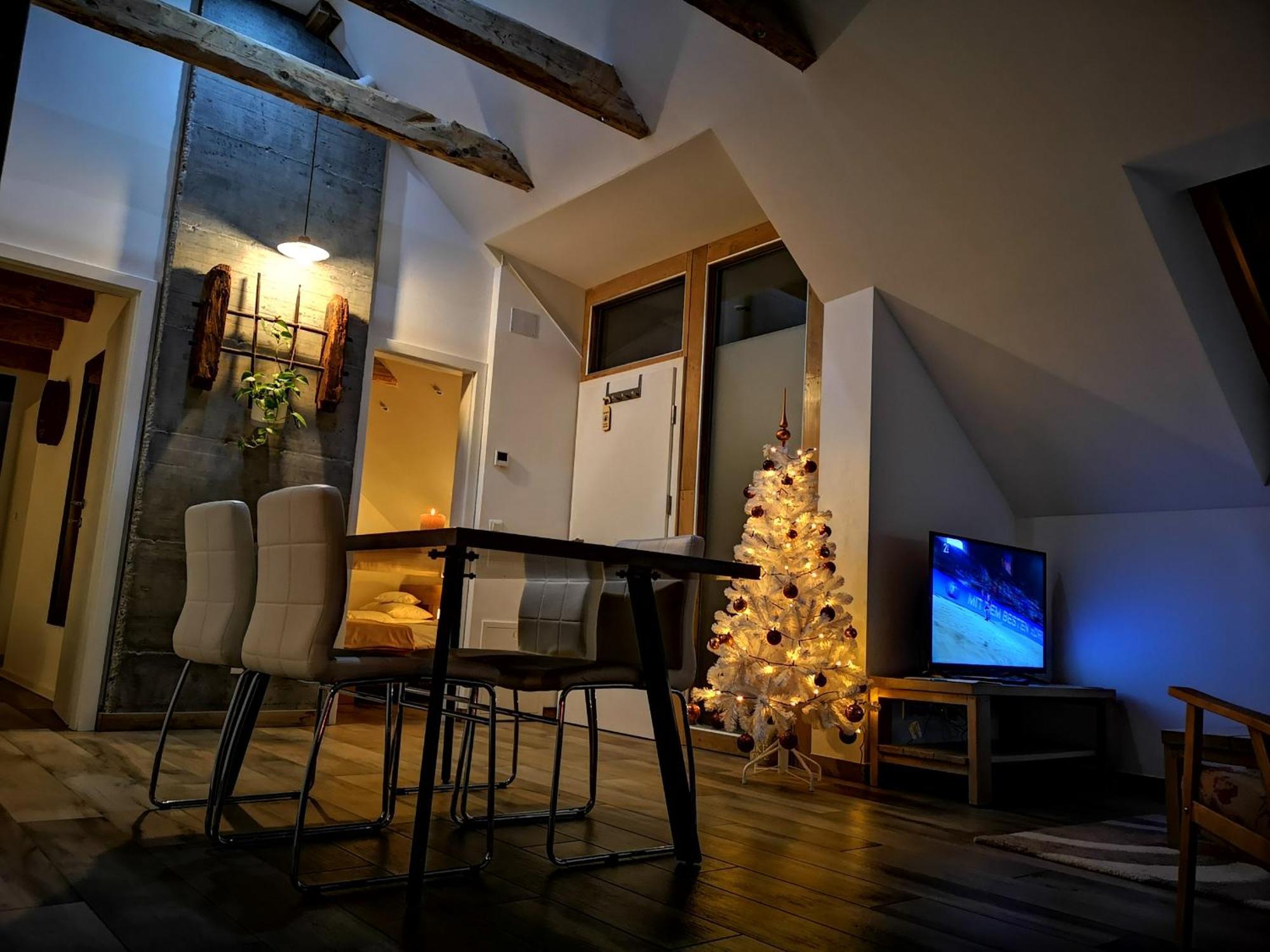 PR`FIK Apartments Kranj Værelse billede