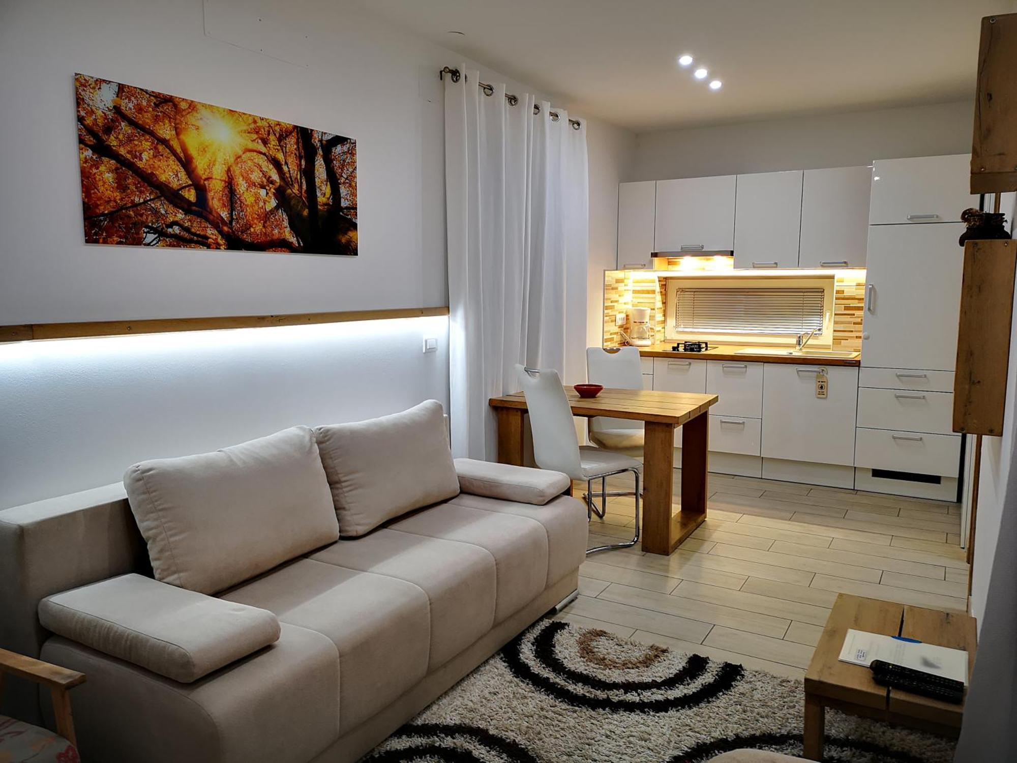 PR`FIK Apartments Kranj Værelse billede