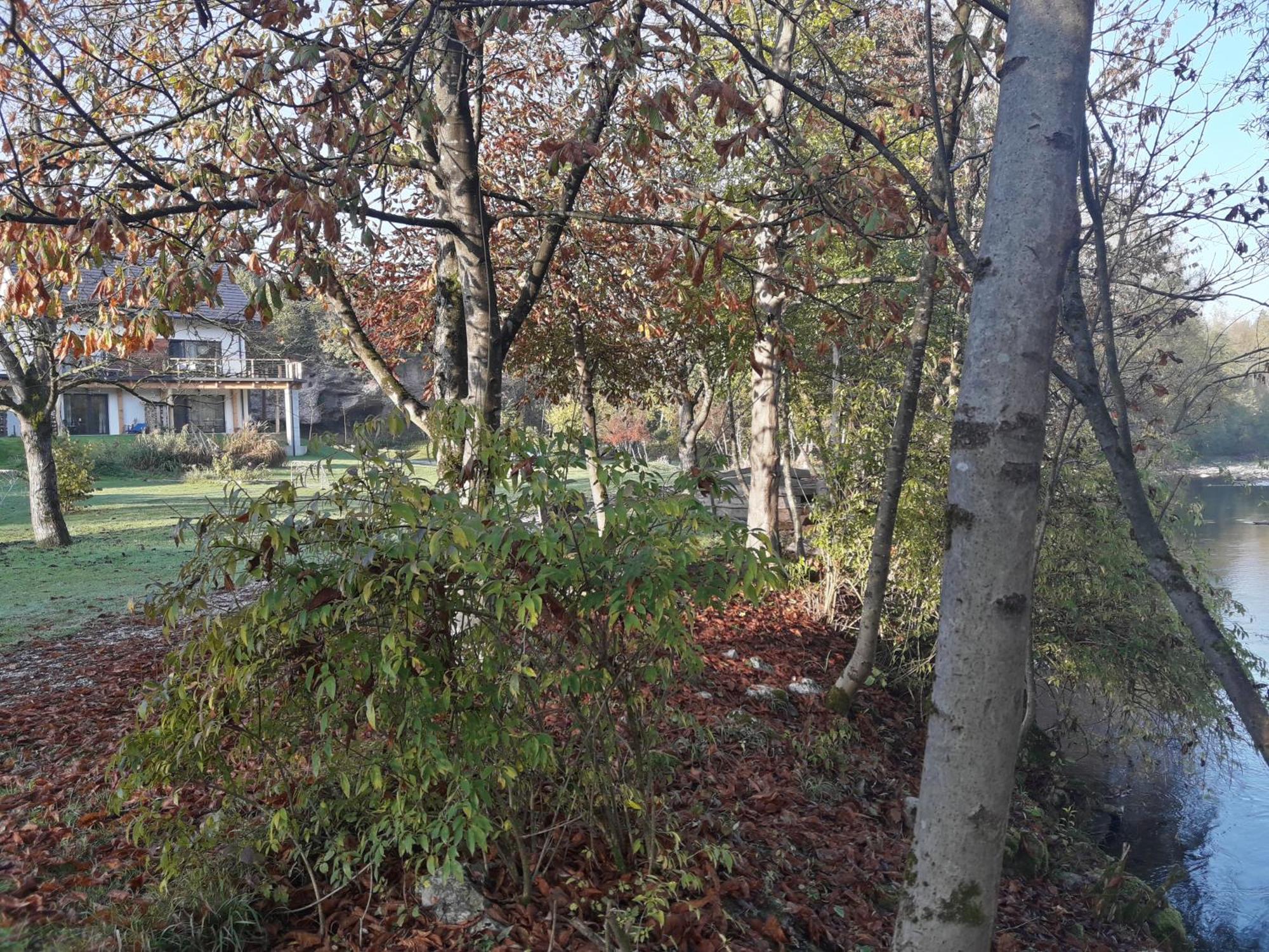 PR`FIK Apartments Kranj Eksteriør billede